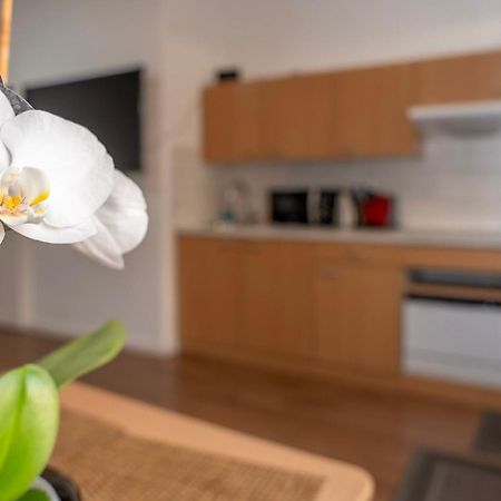 פאלקנזה Cosy Nest - Apartment By Comfort Housing מראה חיצוני תמונה